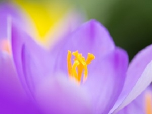 Spring is Here:  Time to Clean Up Your Small Business